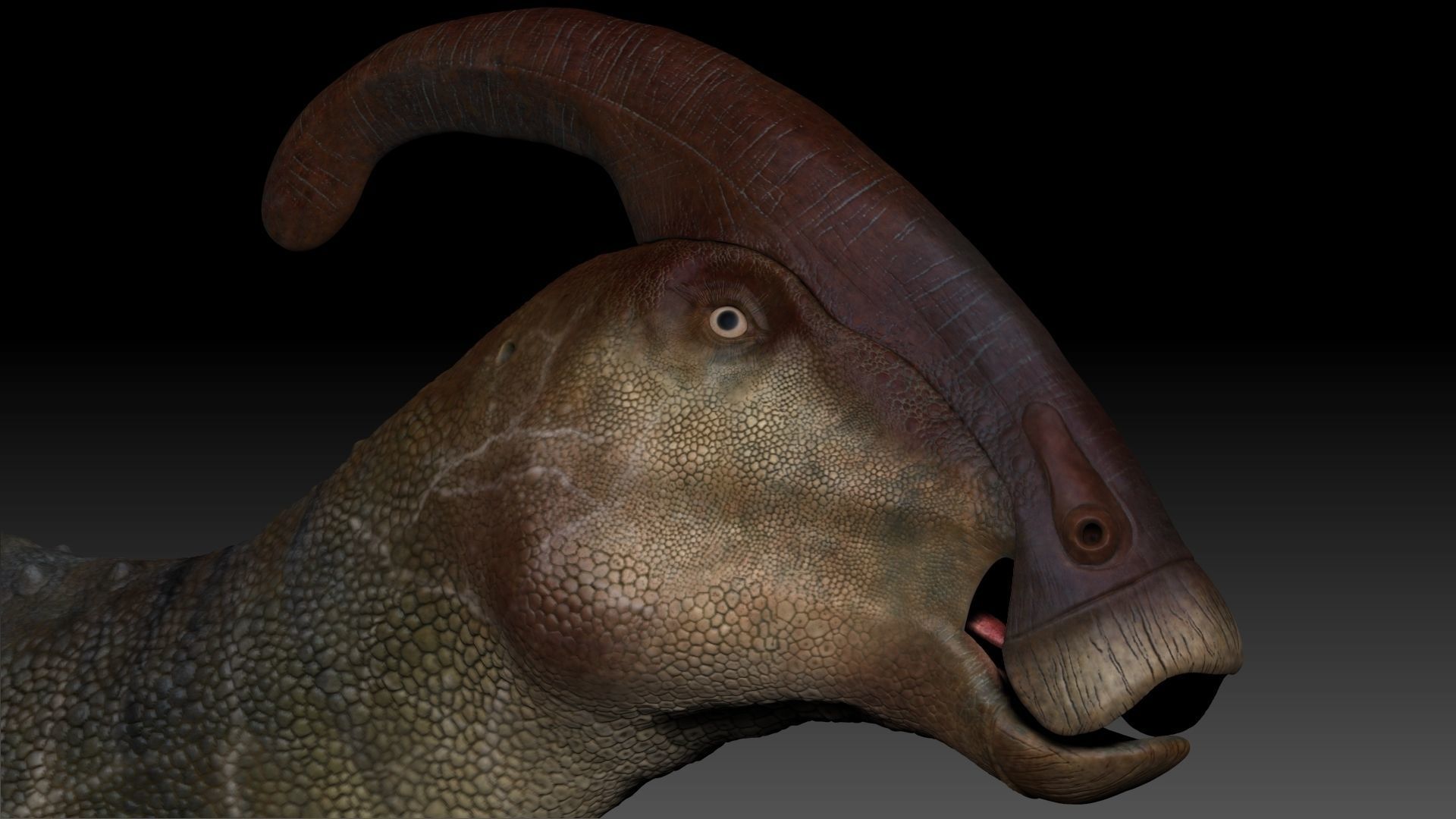 Dinosaur Parasaurolophus Sculpt Project 3D model_10