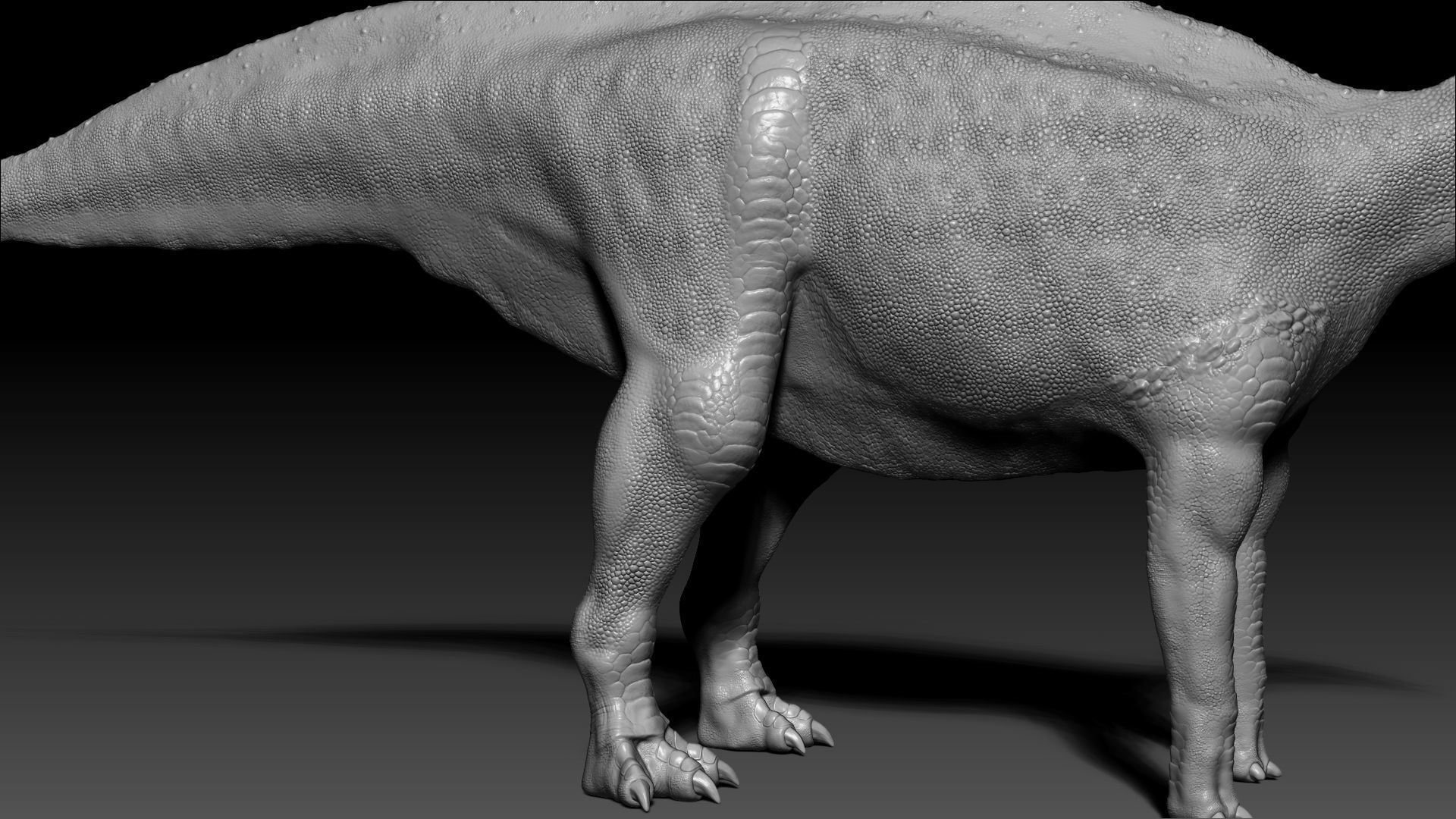 Dinosaur Parasaurolophus Sculpt Project 3D model_6