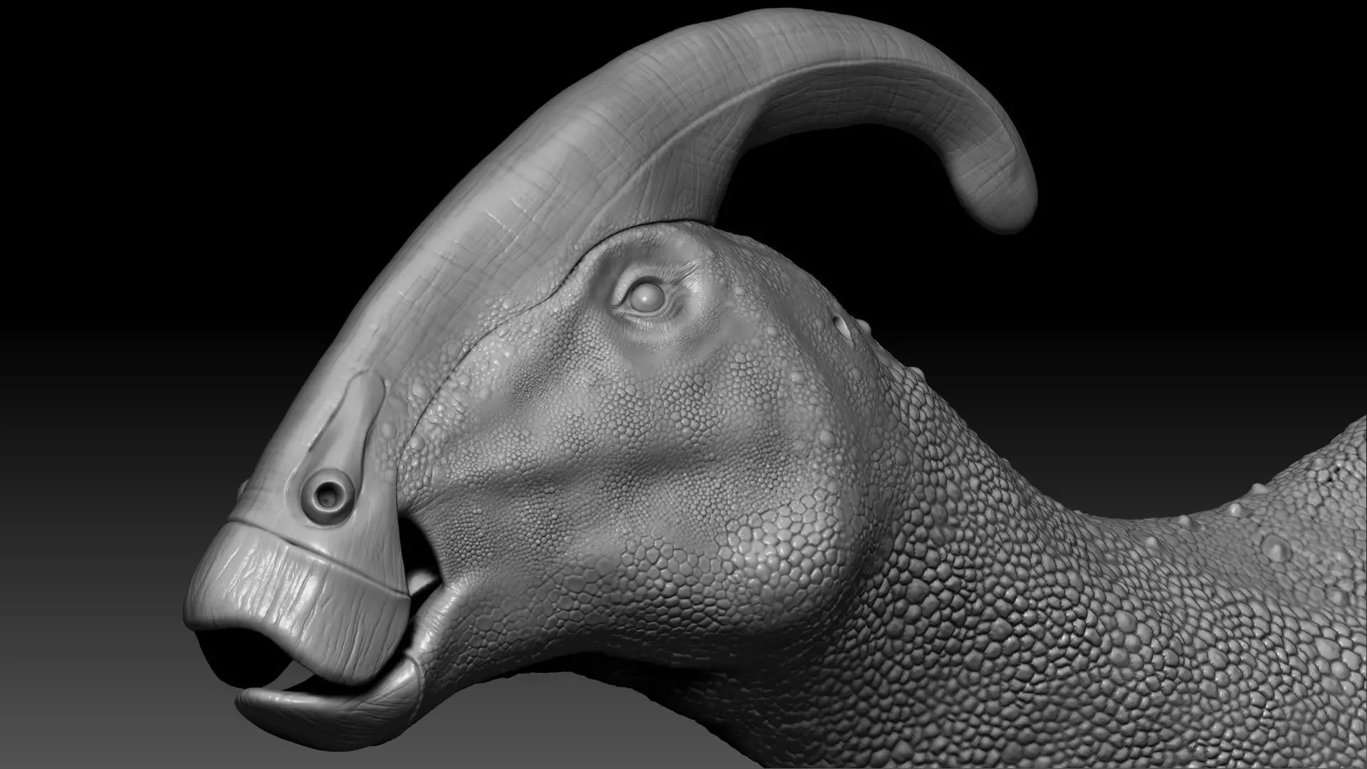 Dinosaur Parasaurolophus Sculpt Project 3D model_0