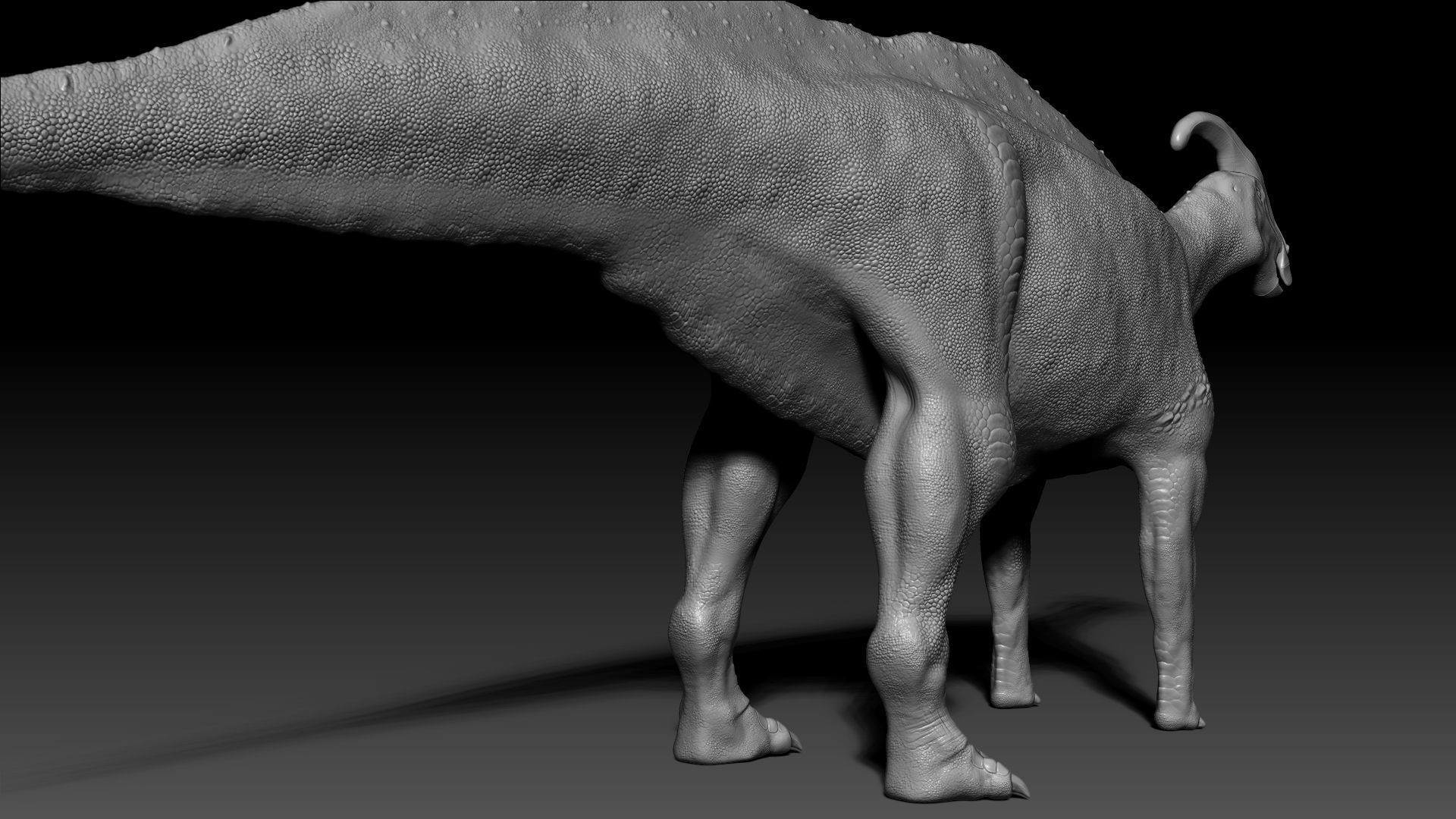 Dinosaur Parasaurolophus Sculpt Project 3D model_7