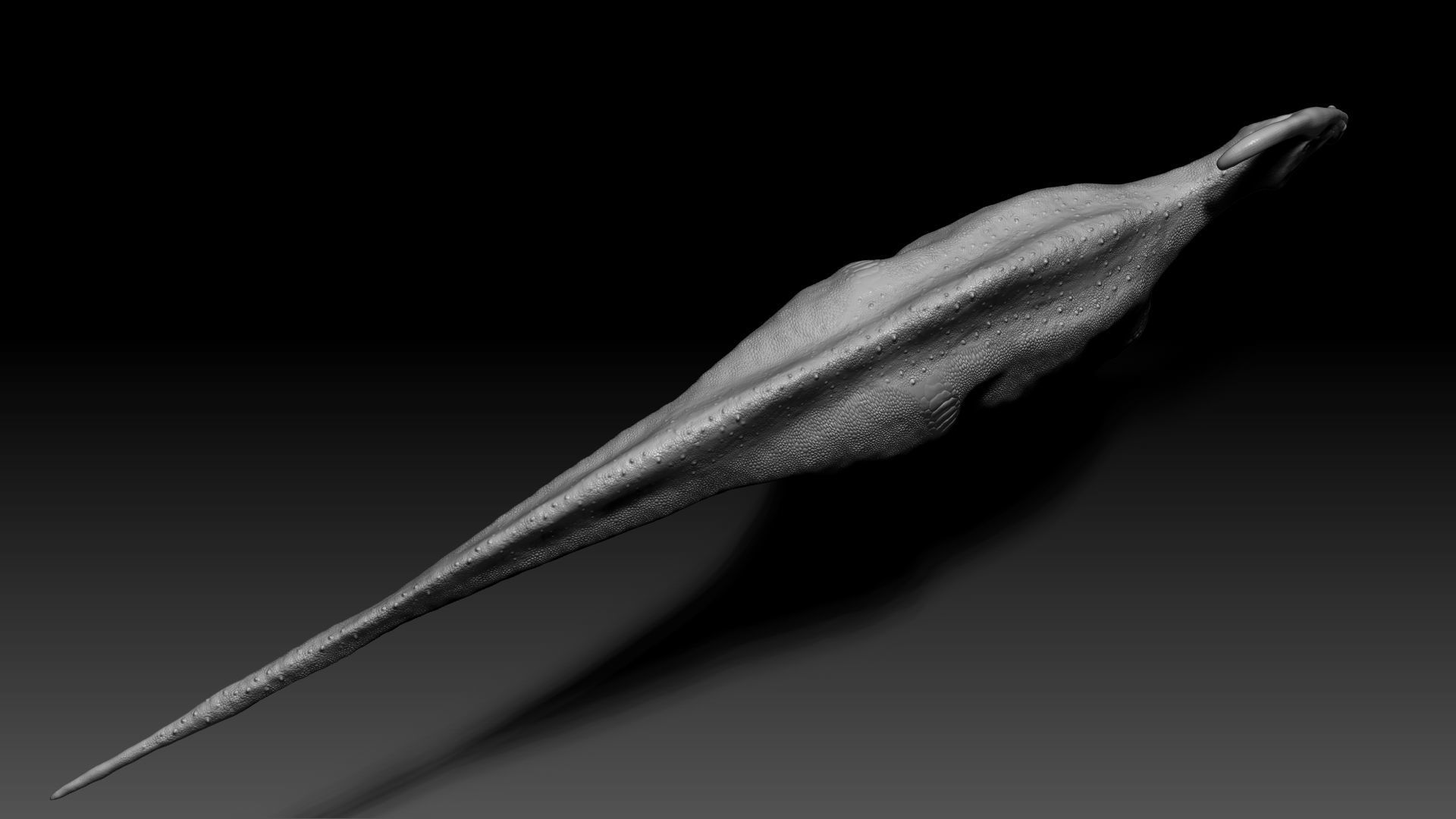 Dinosaur Parasaurolophus Sculpt Project 3D model_8