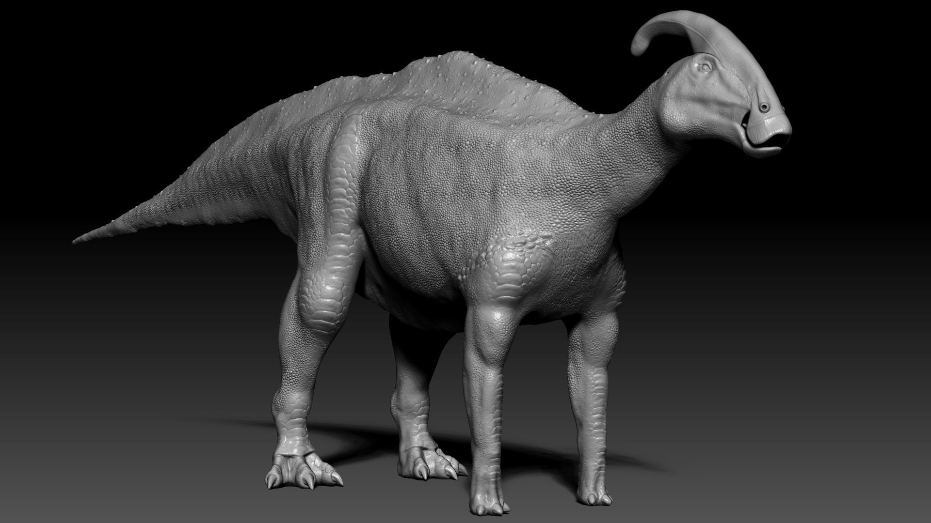 Dinosaur Parasaurolophus Sculpt Project 3D model_2