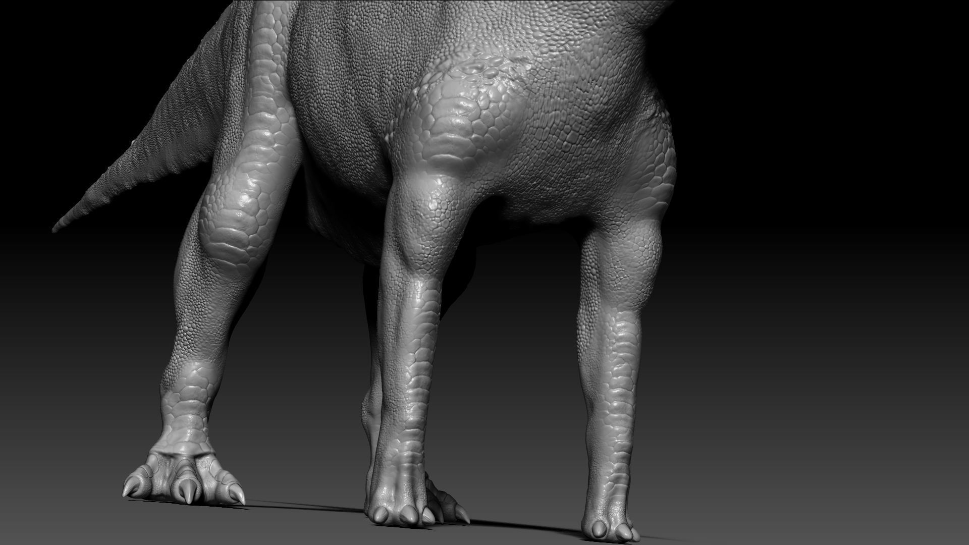 Dinosaur Parasaurolophus Sculpt Project 3D model_5