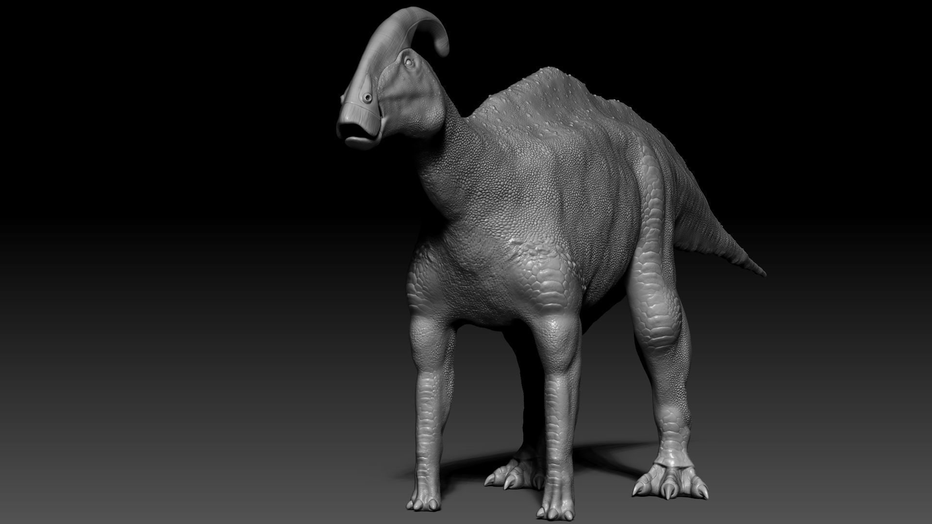 Dinosaur Parasaurolophus Sculpt Project 3D model_3