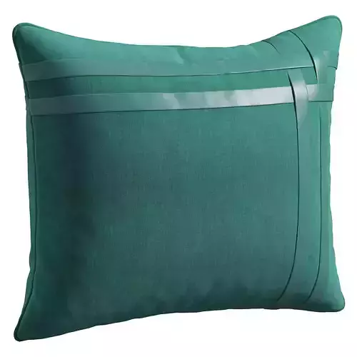  Pillow