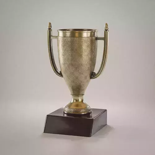 Worn Golden Sport Cup