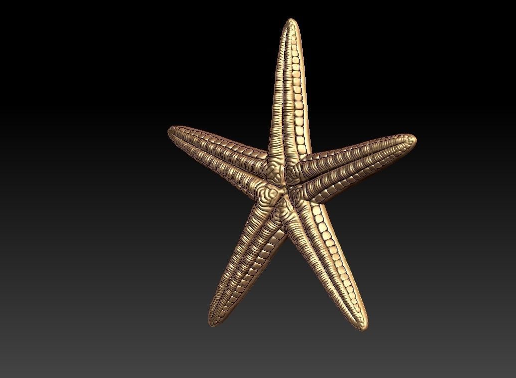 Star fish Pendant  3D print model_1