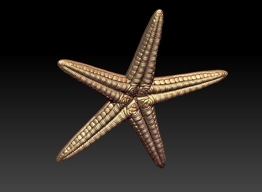 Star fish Pendant  3D print model_2