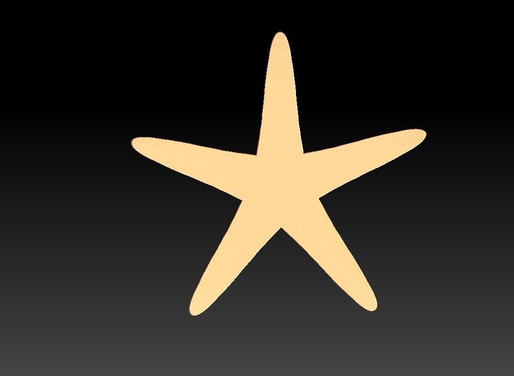 Star fish Pendant  3D print model_5