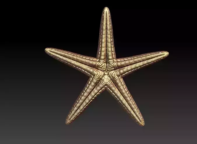 Star fish Pendant  3D print model