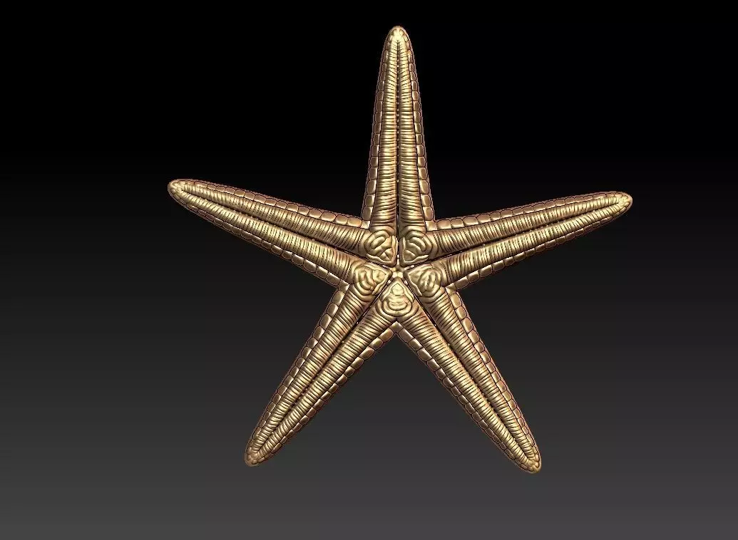 Star fish Pendant  3D print model_0