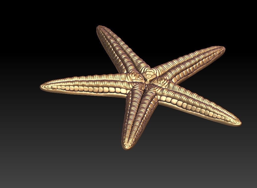 Star fish Pendant  3D print model_4