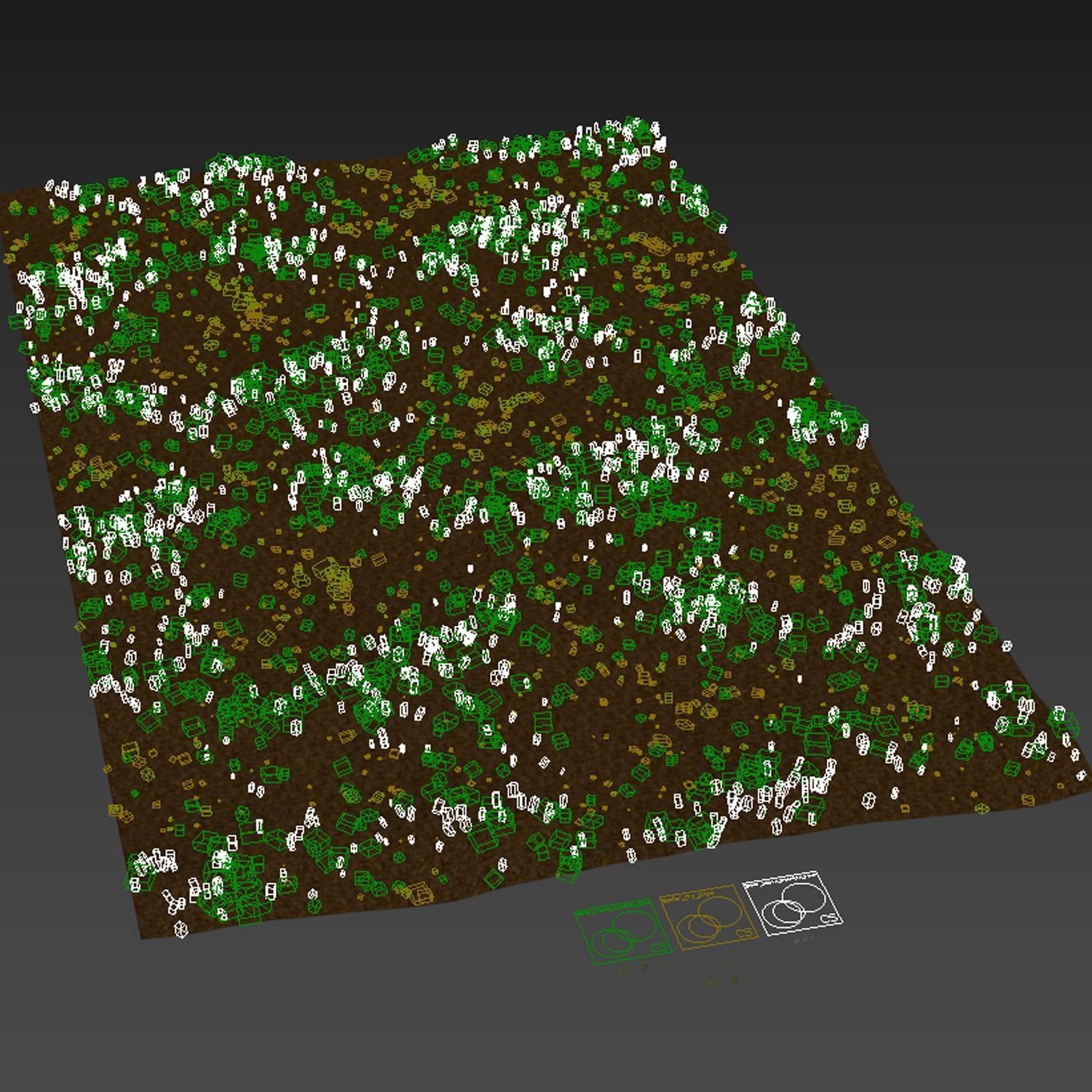 Grass Beautiful Lawn With Libertia Grandiflora 3D model_4