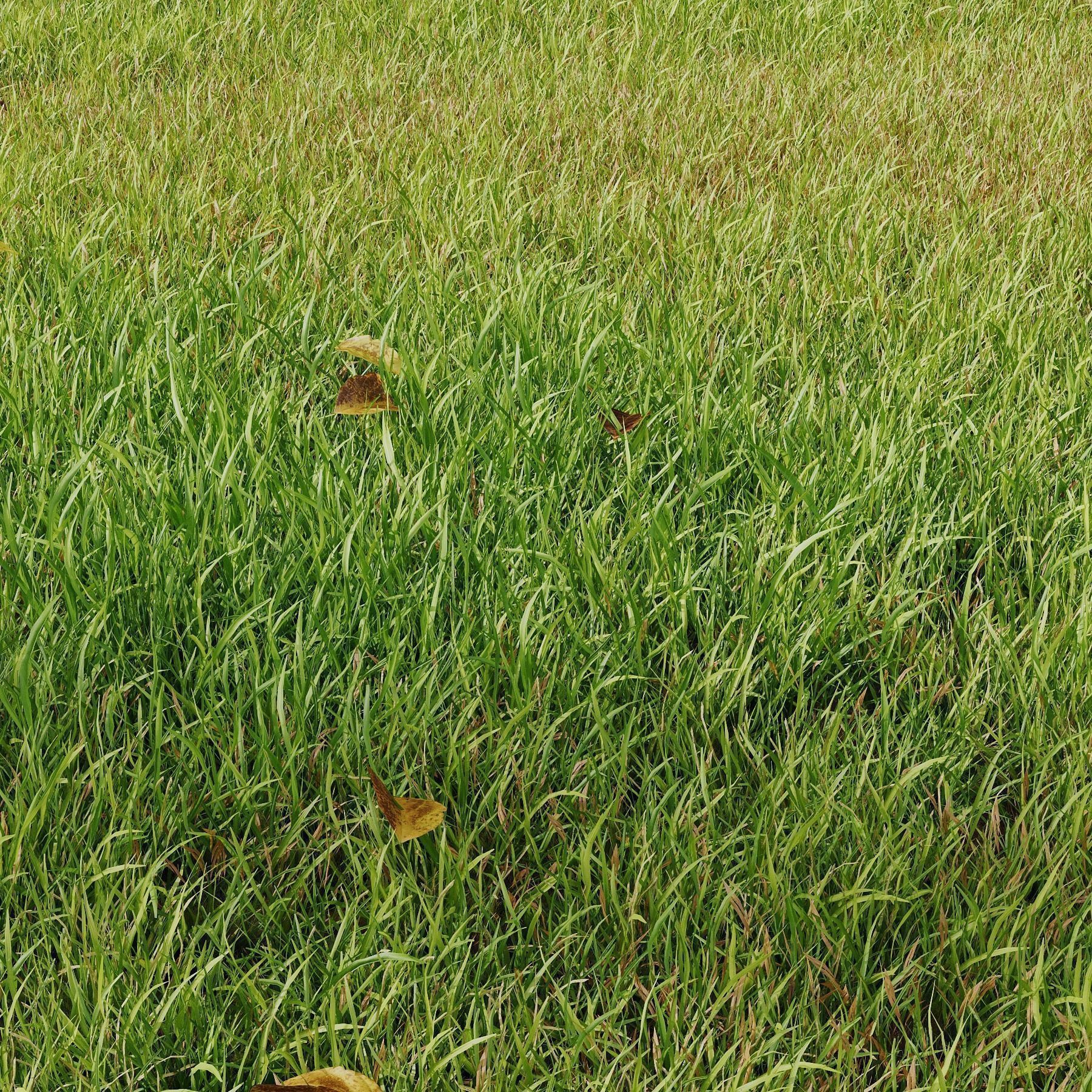 10 Different SETS Of Grass SET VOL07 3D Model Collection_15