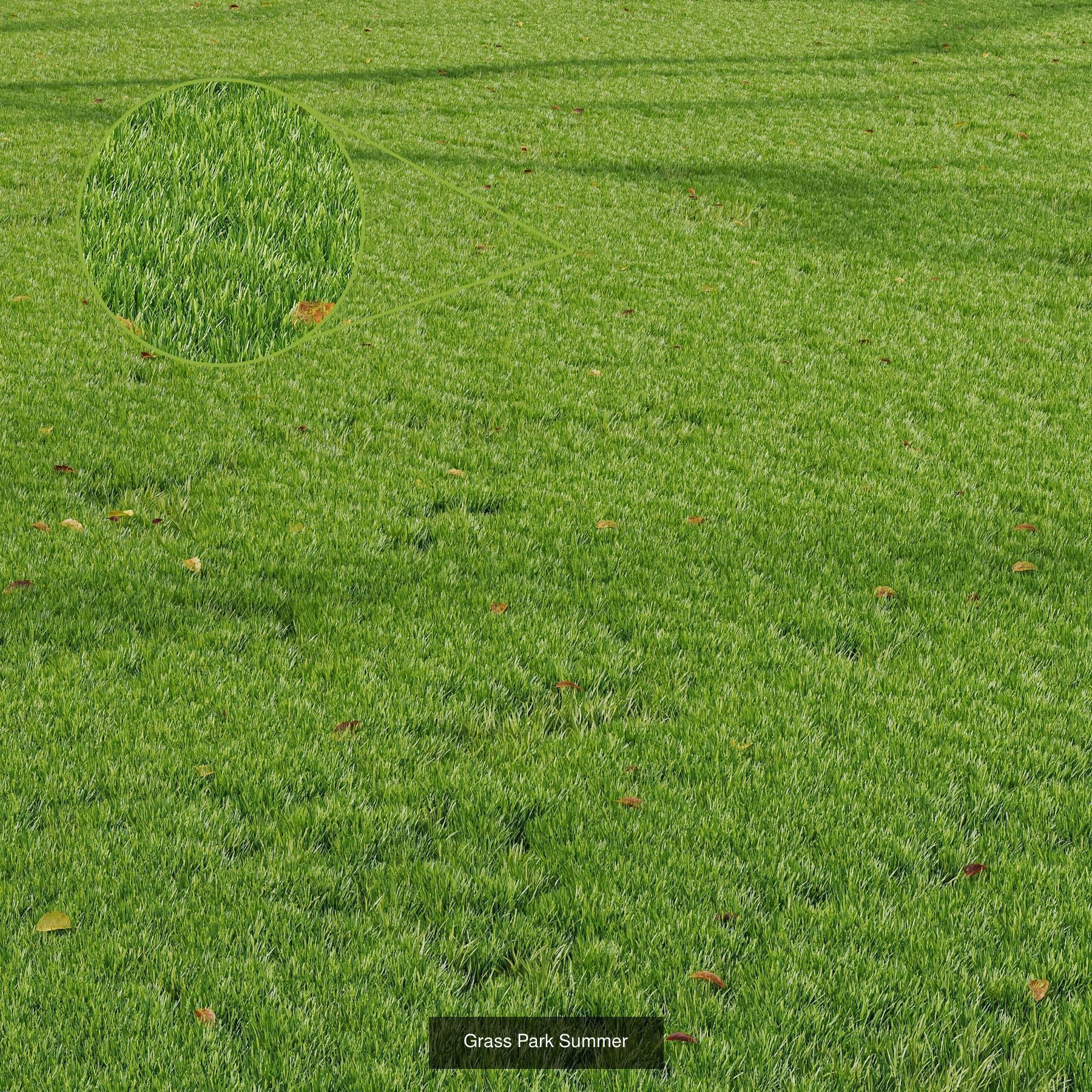 10 Different SETS Of Grass SET VOL07 3D Model Collection_5