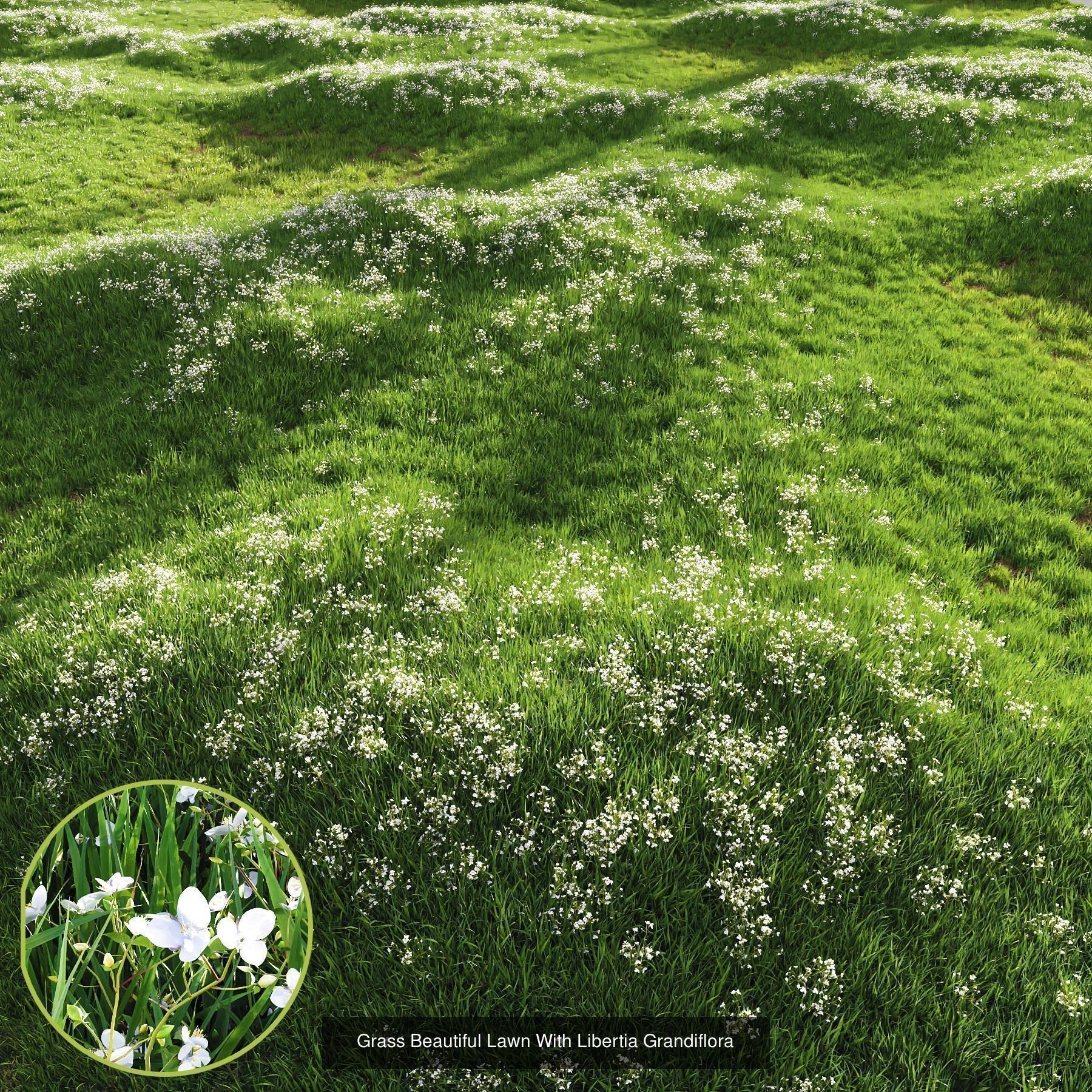 10 Different SETS Of Grass SET VOL07 3D Model Collection_11