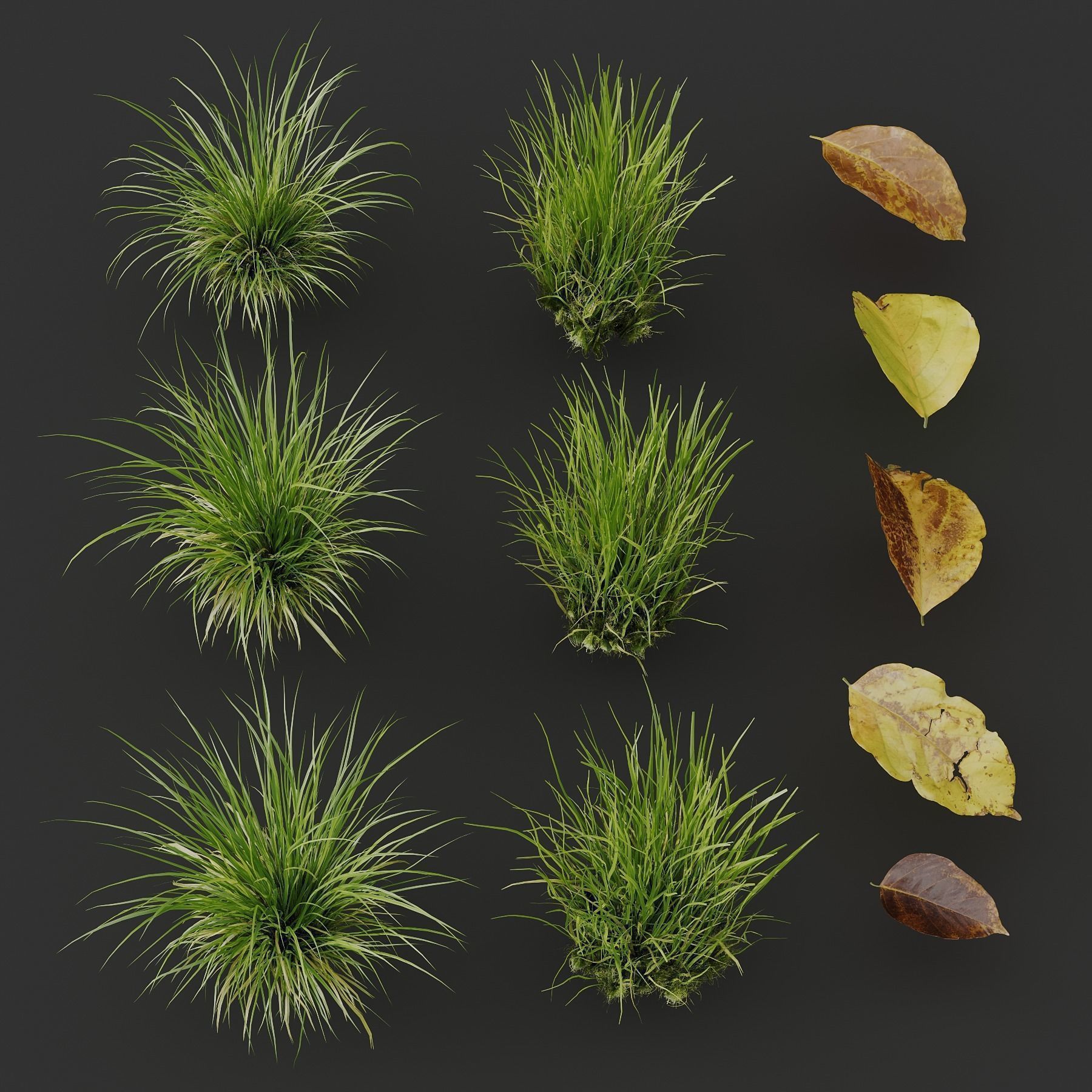 10 Different SETS Of Grass SET VOL07 3D Model Collection_26