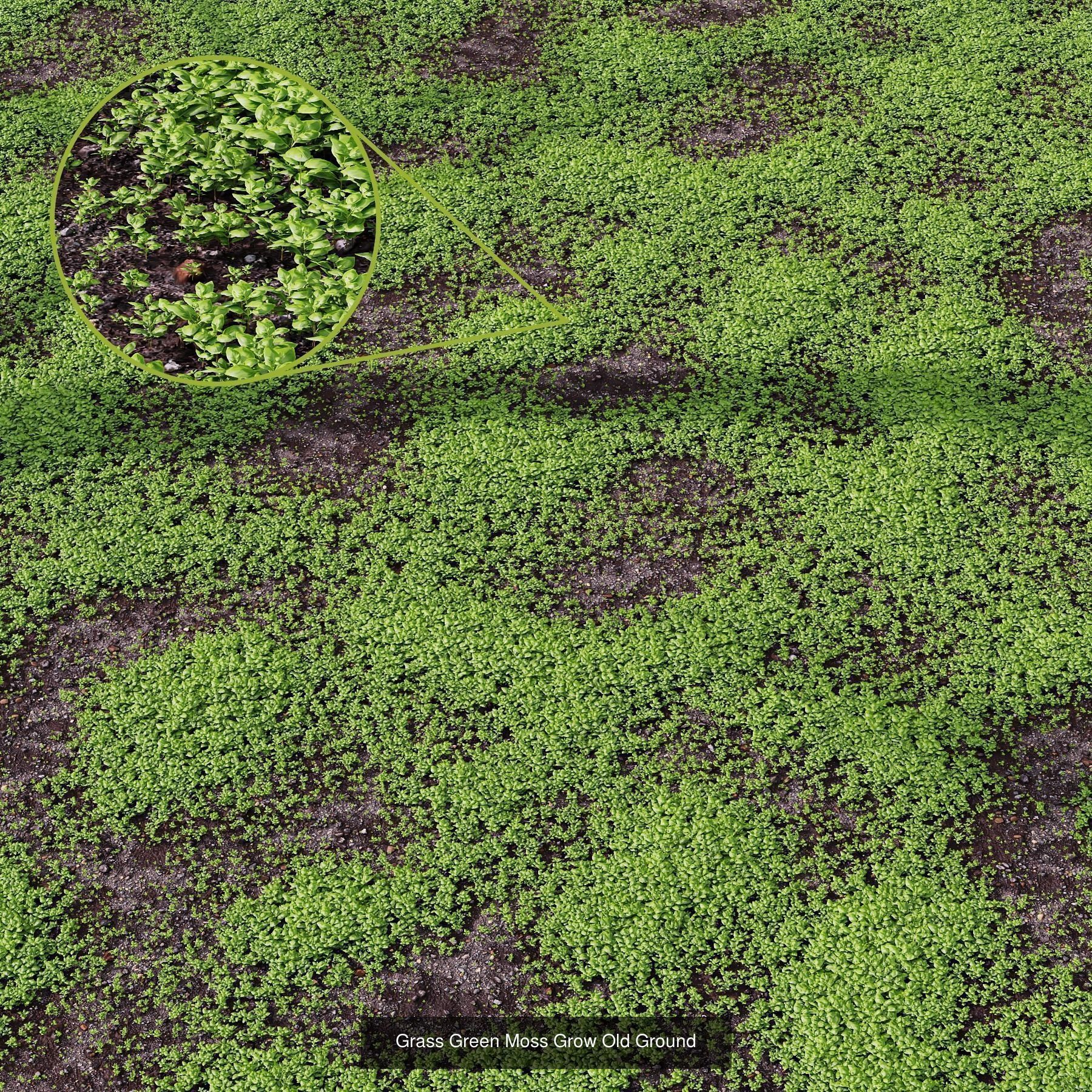10 Different SETS Of Grass SET VOL07 3D Model Collection_8