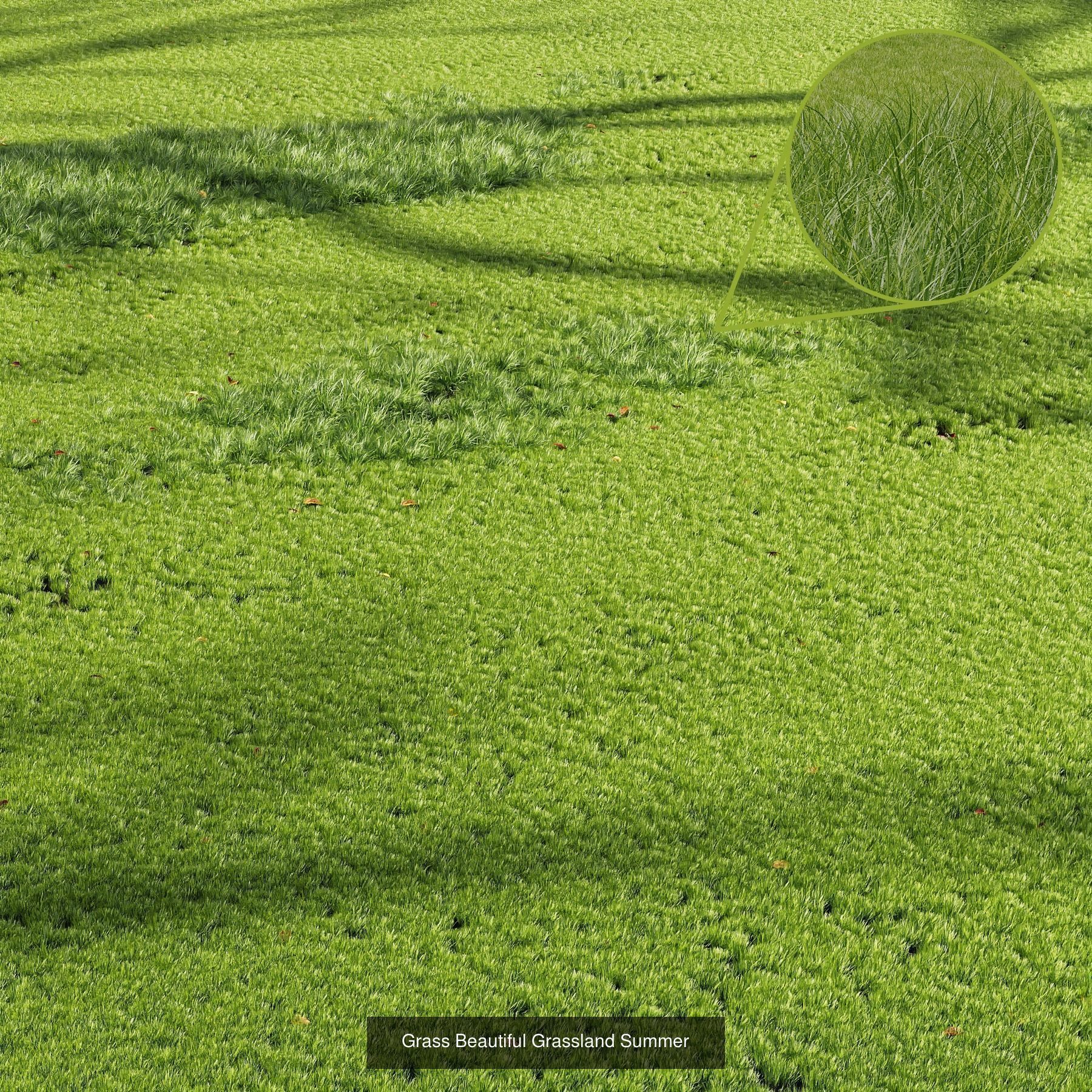 10 Different SETS Of Grass SET VOL07 3D Model Collection_7
