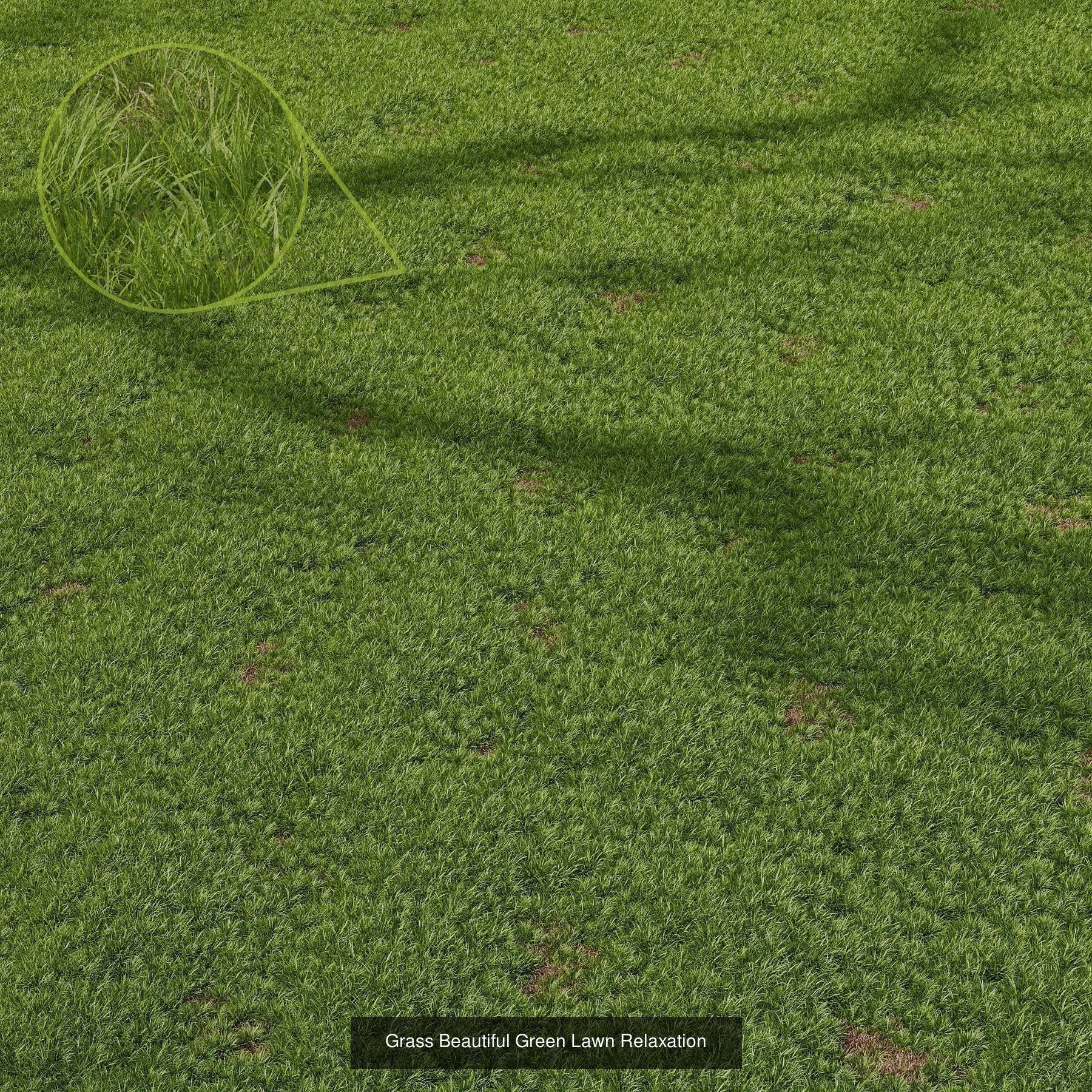 10 Different SETS Of Grass SET VOL07 3D Model Collection_6