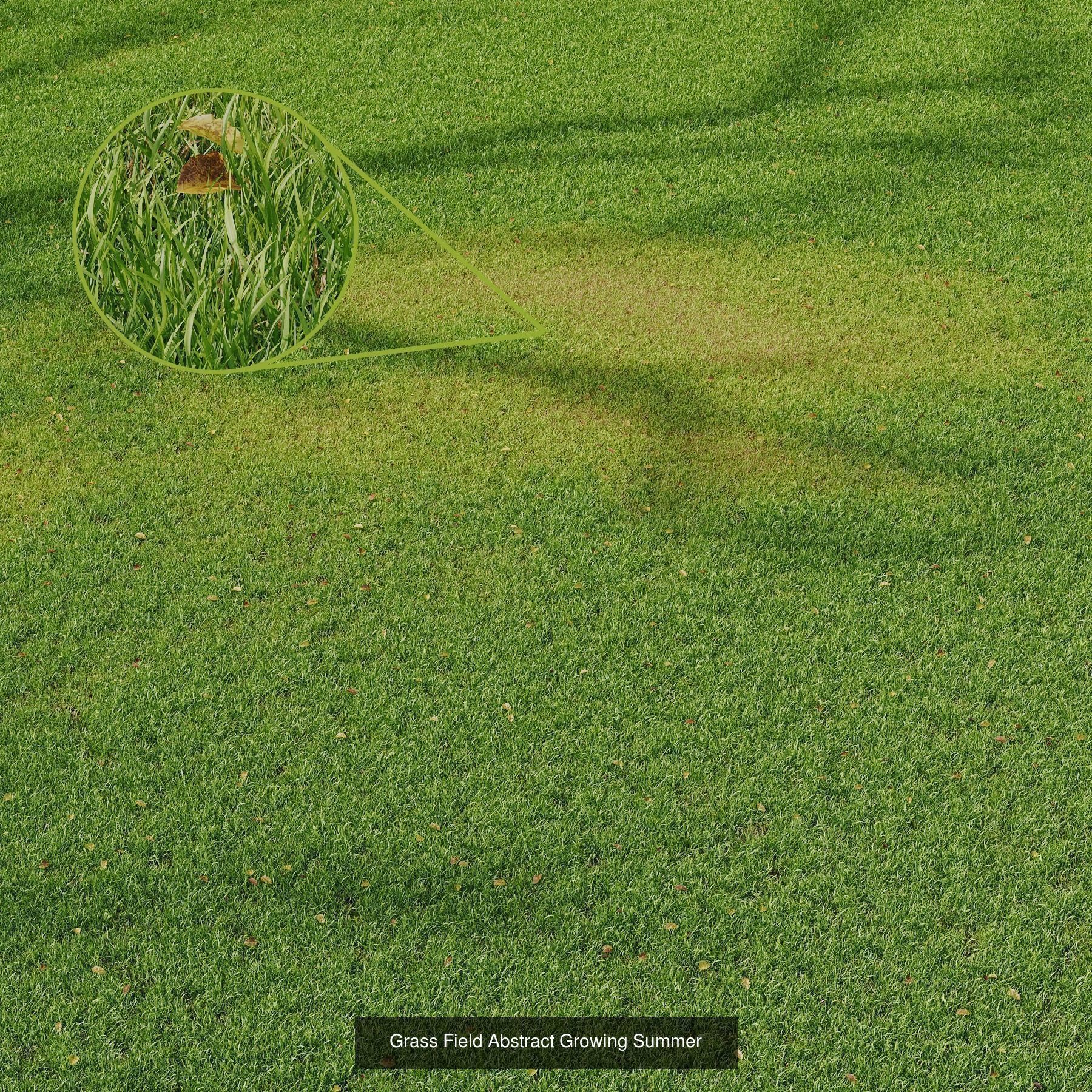 10 Different SETS Of Grass SET VOL07 3D Model Collection_3