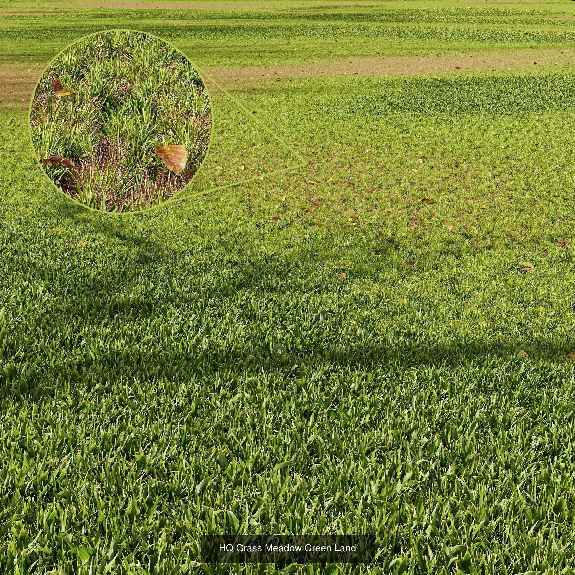 10 Different SETS Of Grass SET VOL07 3D Model Collection_2