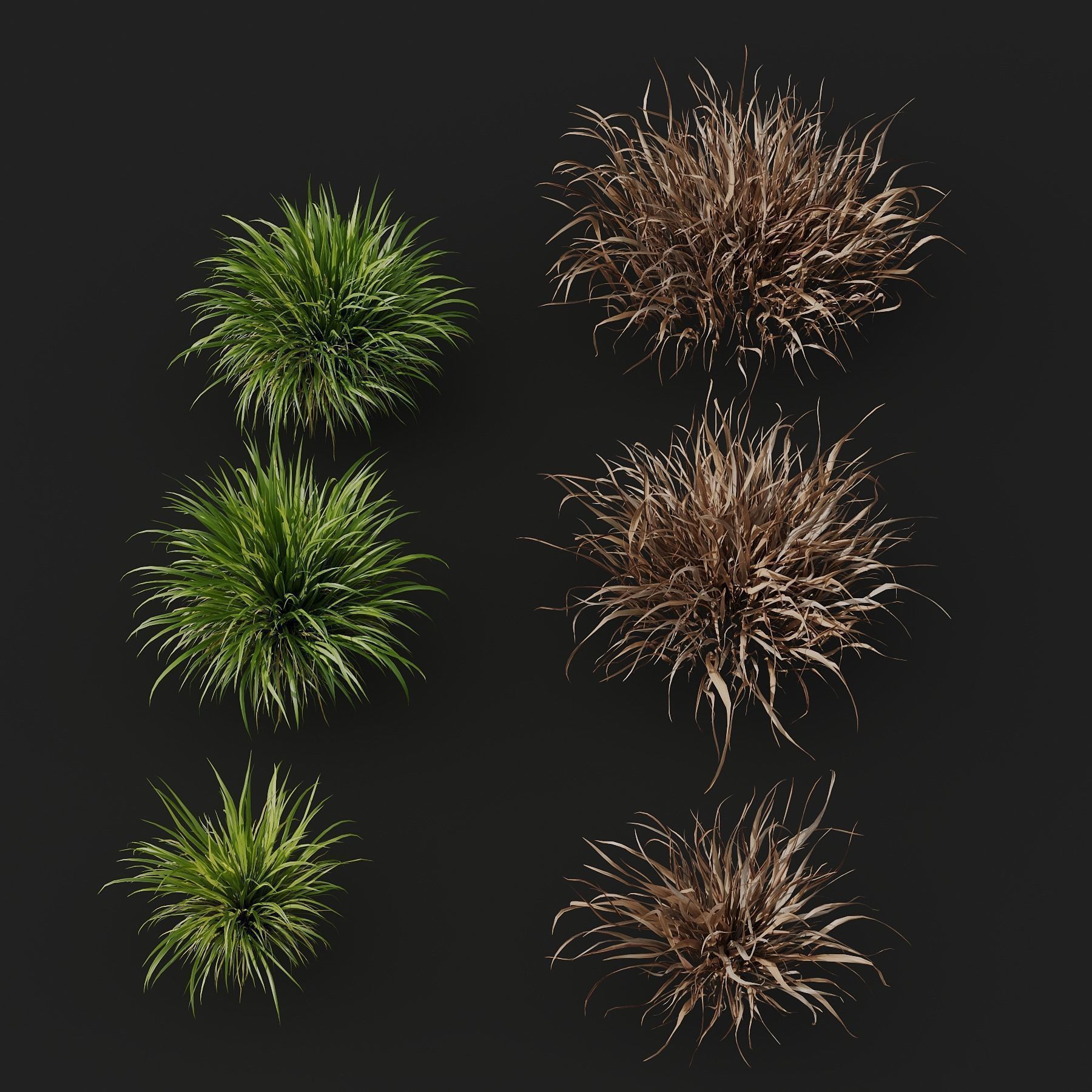 10 Different SETS Of Grass SET VOL07 3D Model Collection_25