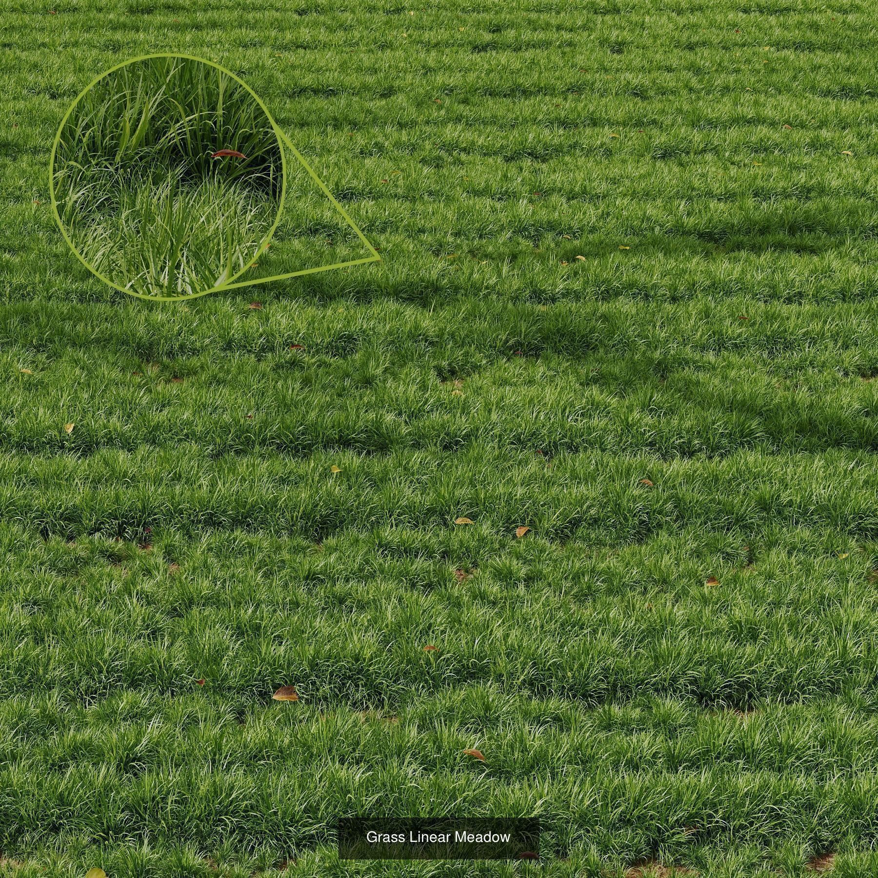 10 Different SETS Of Grass SET VOL07 3D Model Collection_4