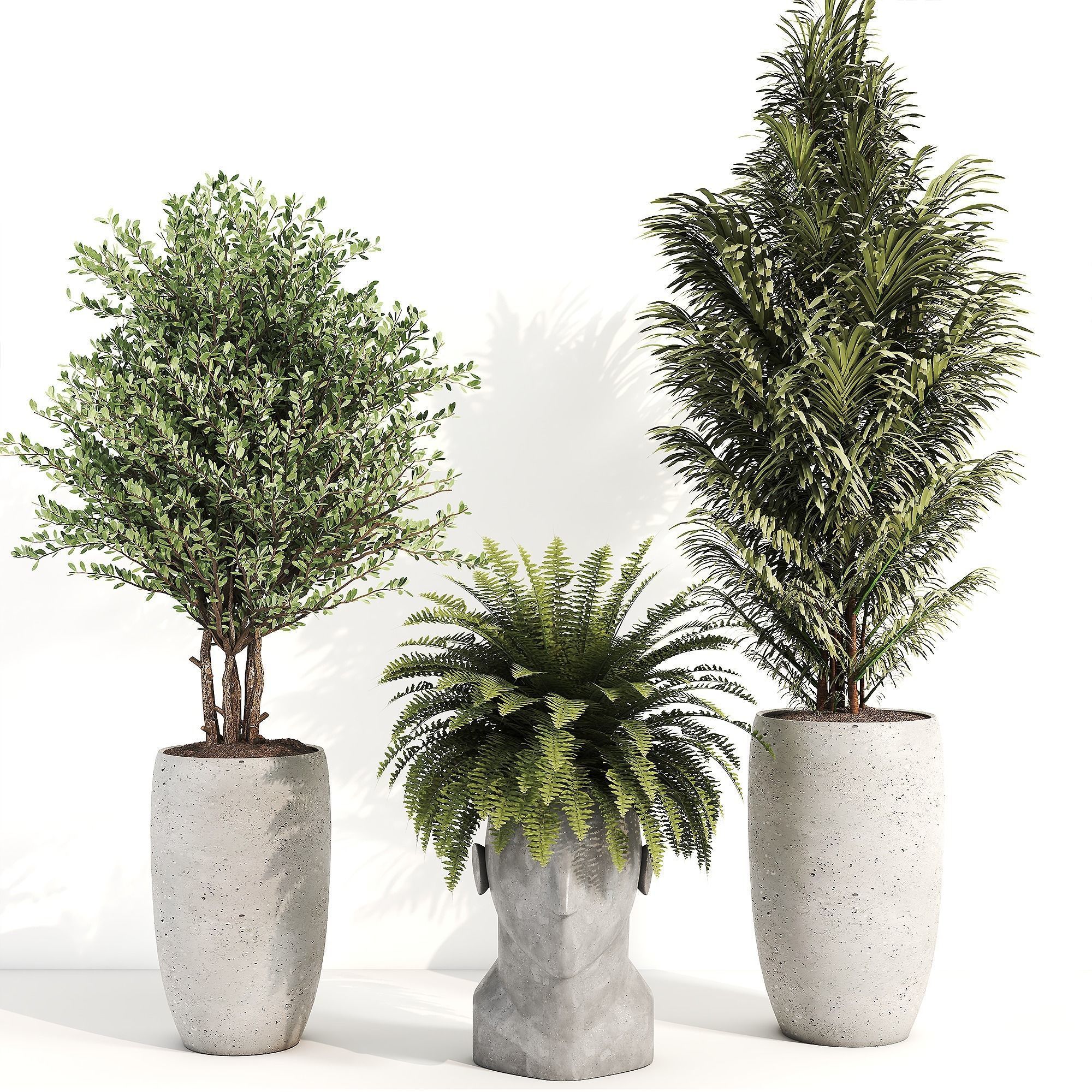 indoor plant 012 3D model_1