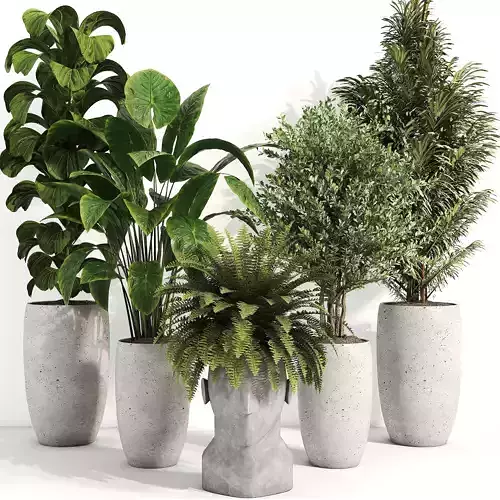 indoor plant 012 3D model