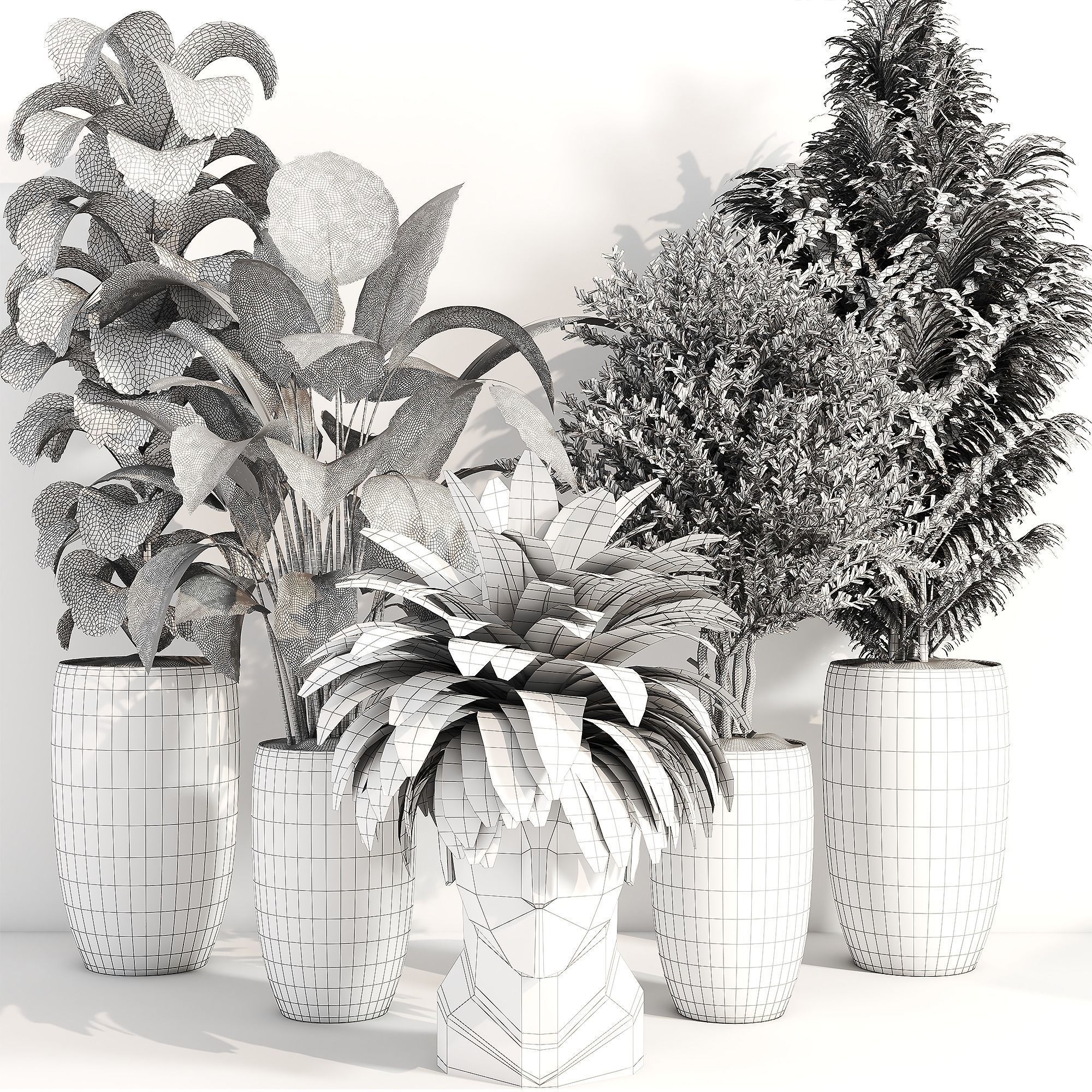 indoor plant 012 3D model_2