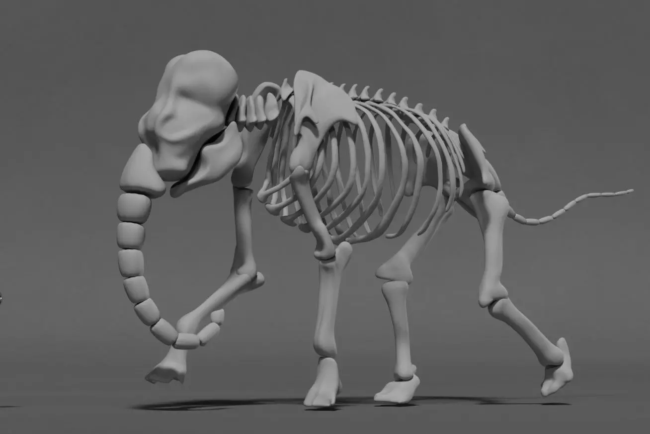 Elephant Skeleton 3D model_0