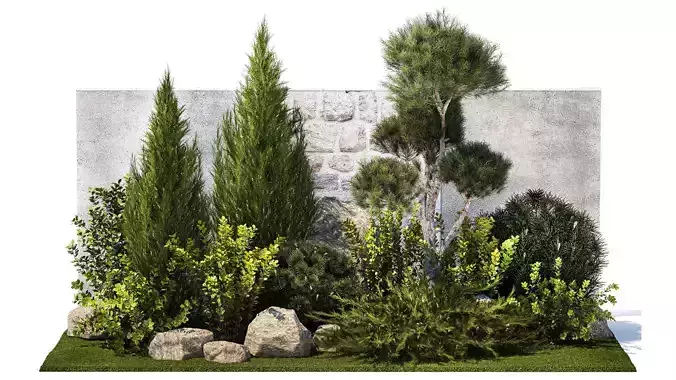 Beautiful garden with thuja cypress pine juniper 1374