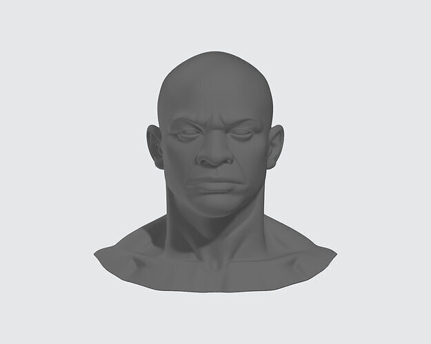 Realistic African Male Head Bust  Anatomy 3D model
