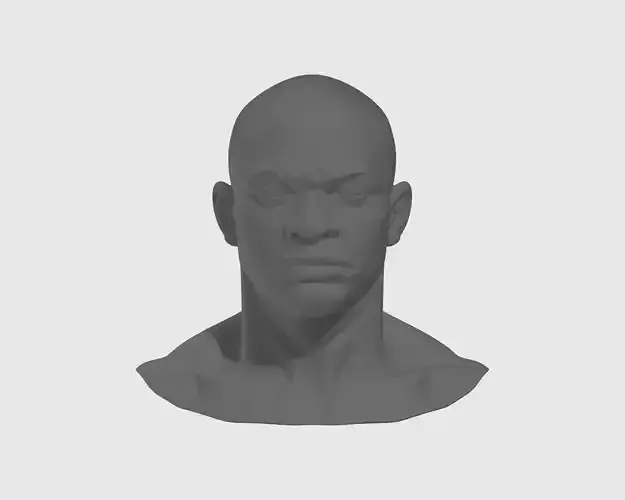 Realistic African Male Head Bust  Anatomy