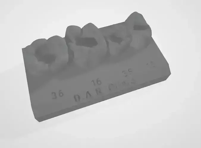 Dental Models For Courses and training  3D print model