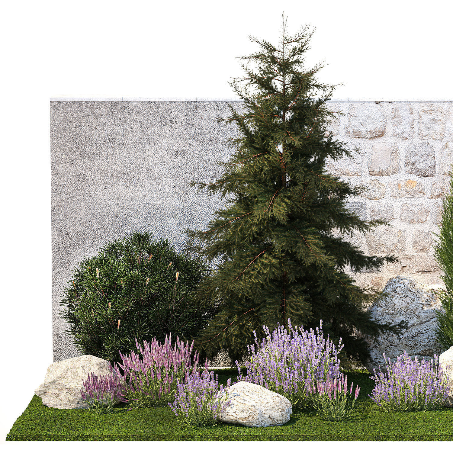 Beautiful garden lavender cypress spruce juniper 1376 3D model_8