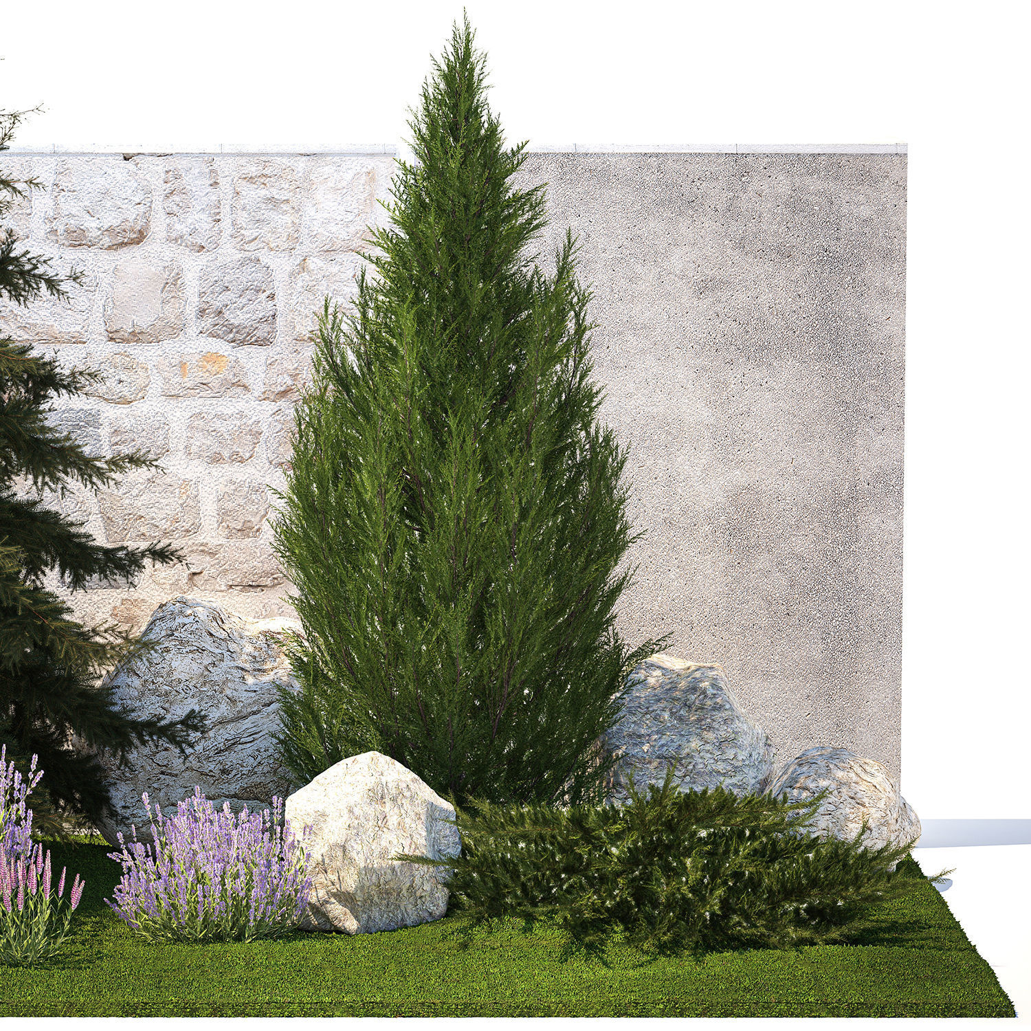 Beautiful garden lavender cypress spruce juniper 1376 3D model_10