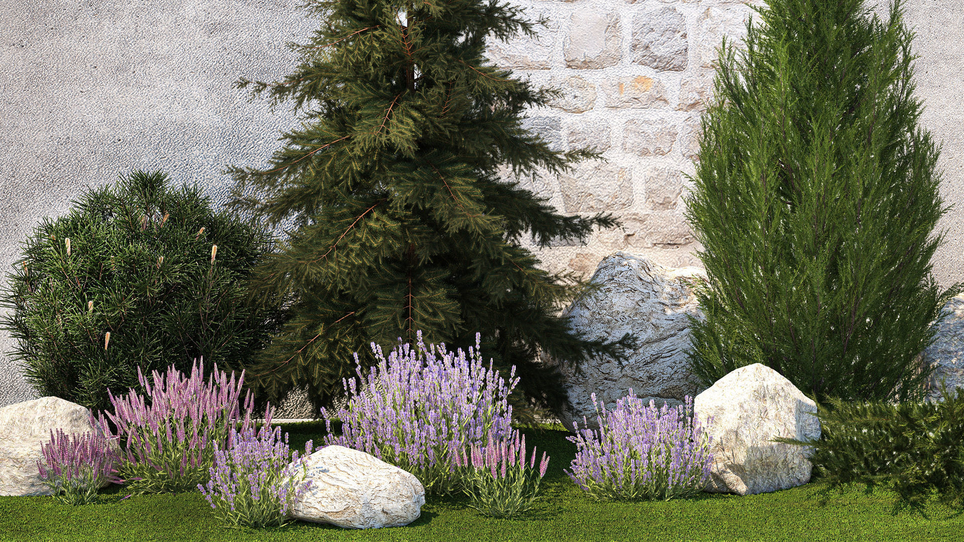Beautiful garden lavender cypress spruce juniper 1376 3D model_2