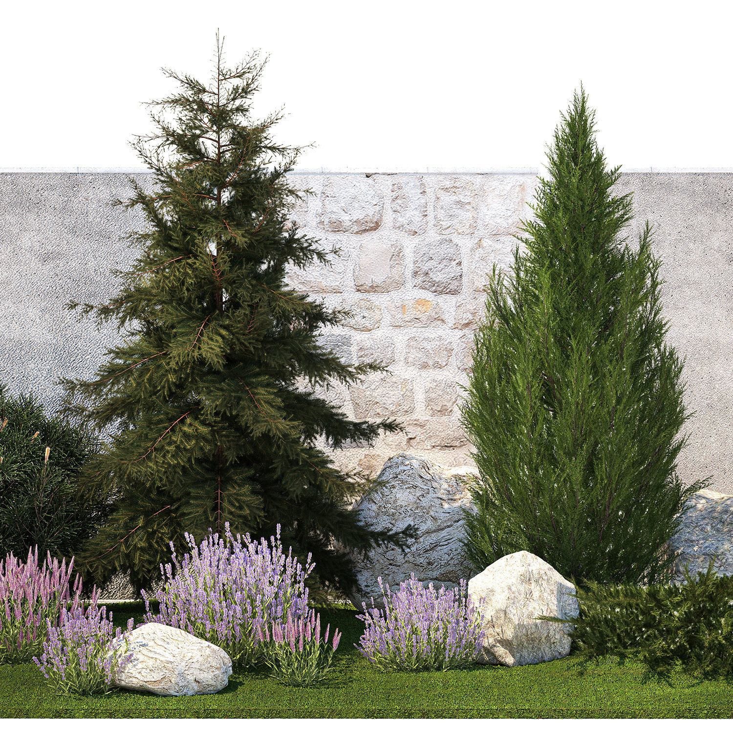 Beautiful garden lavender cypress spruce juniper 1376 3D model_9