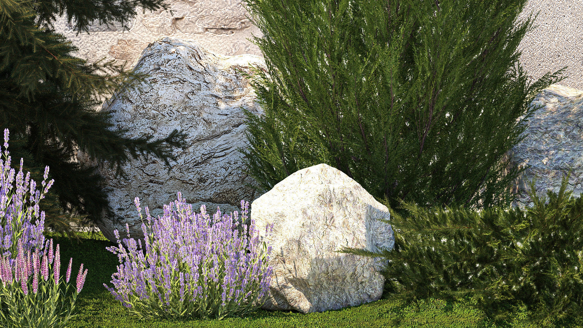 Beautiful garden lavender cypress spruce juniper 1376 3D model_4