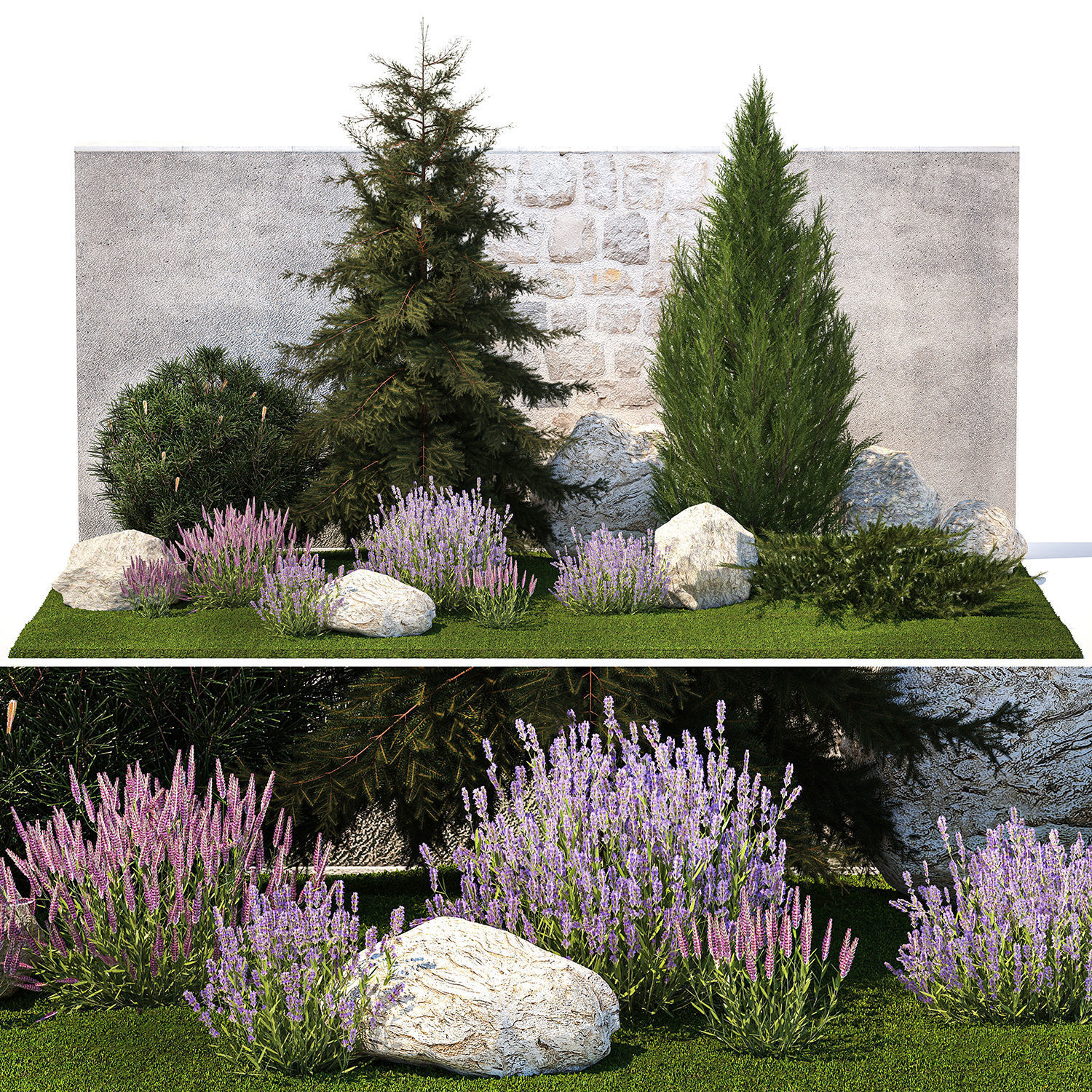 Beautiful garden lavender cypress spruce juniper 1376 3D model_6