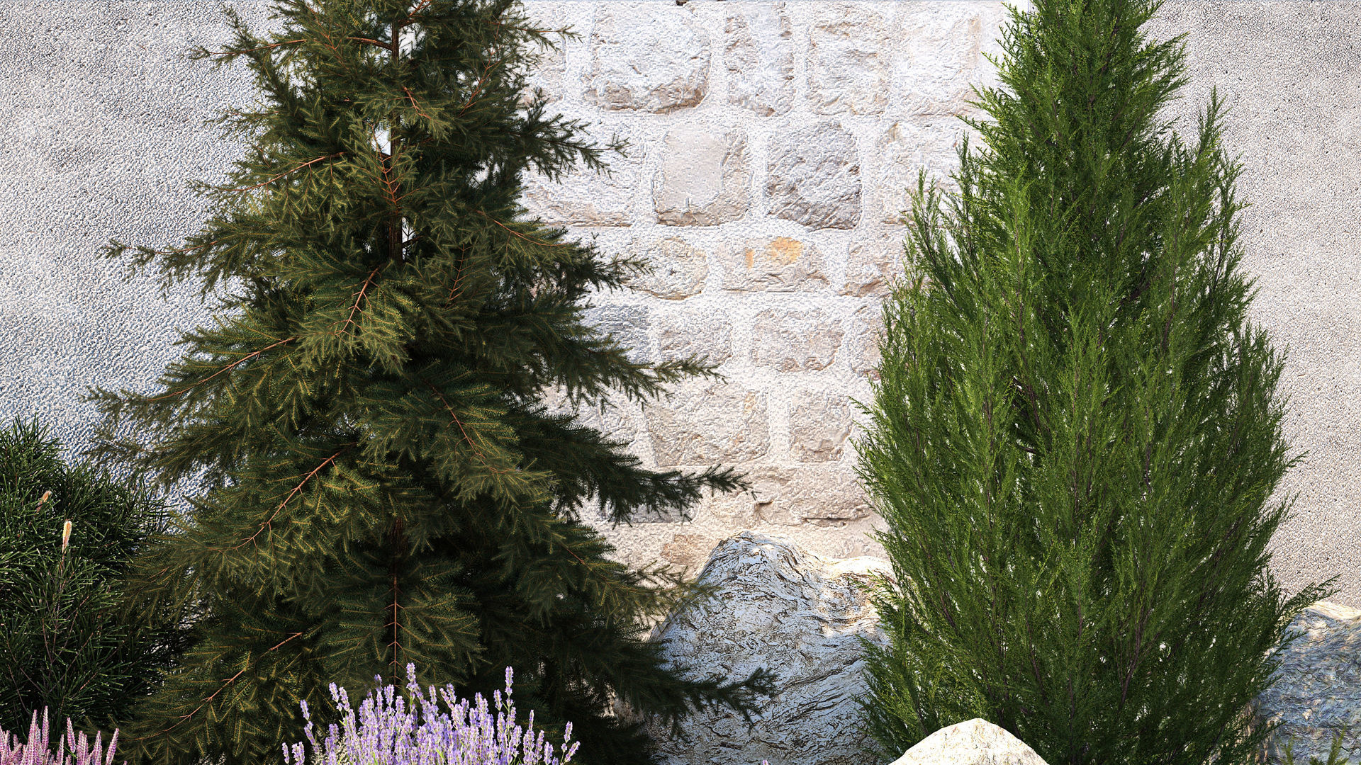 Beautiful garden lavender cypress spruce juniper 1376 3D model_3