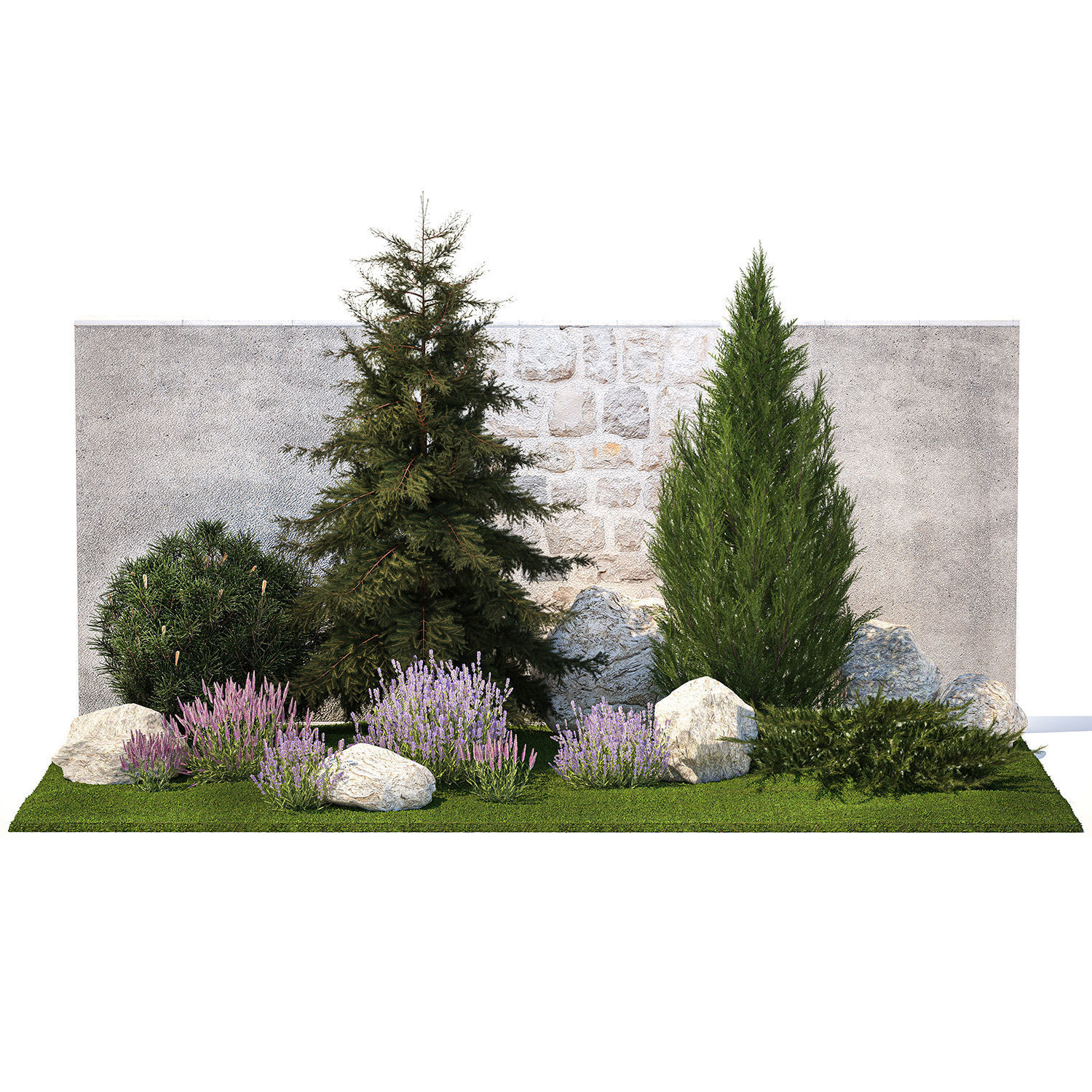 Beautiful garden lavender cypress spruce juniper 1376 3D model_7