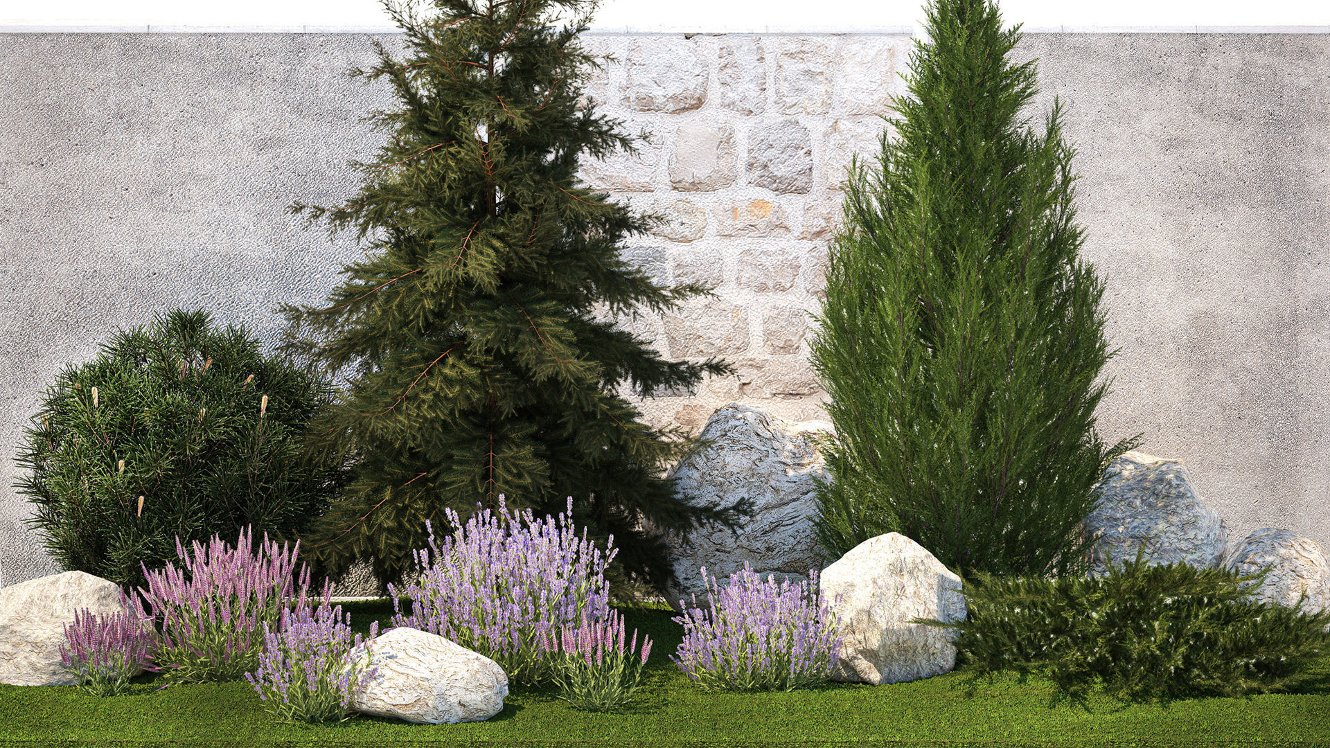 Beautiful garden lavender cypress spruce juniper 1376 3D model_1