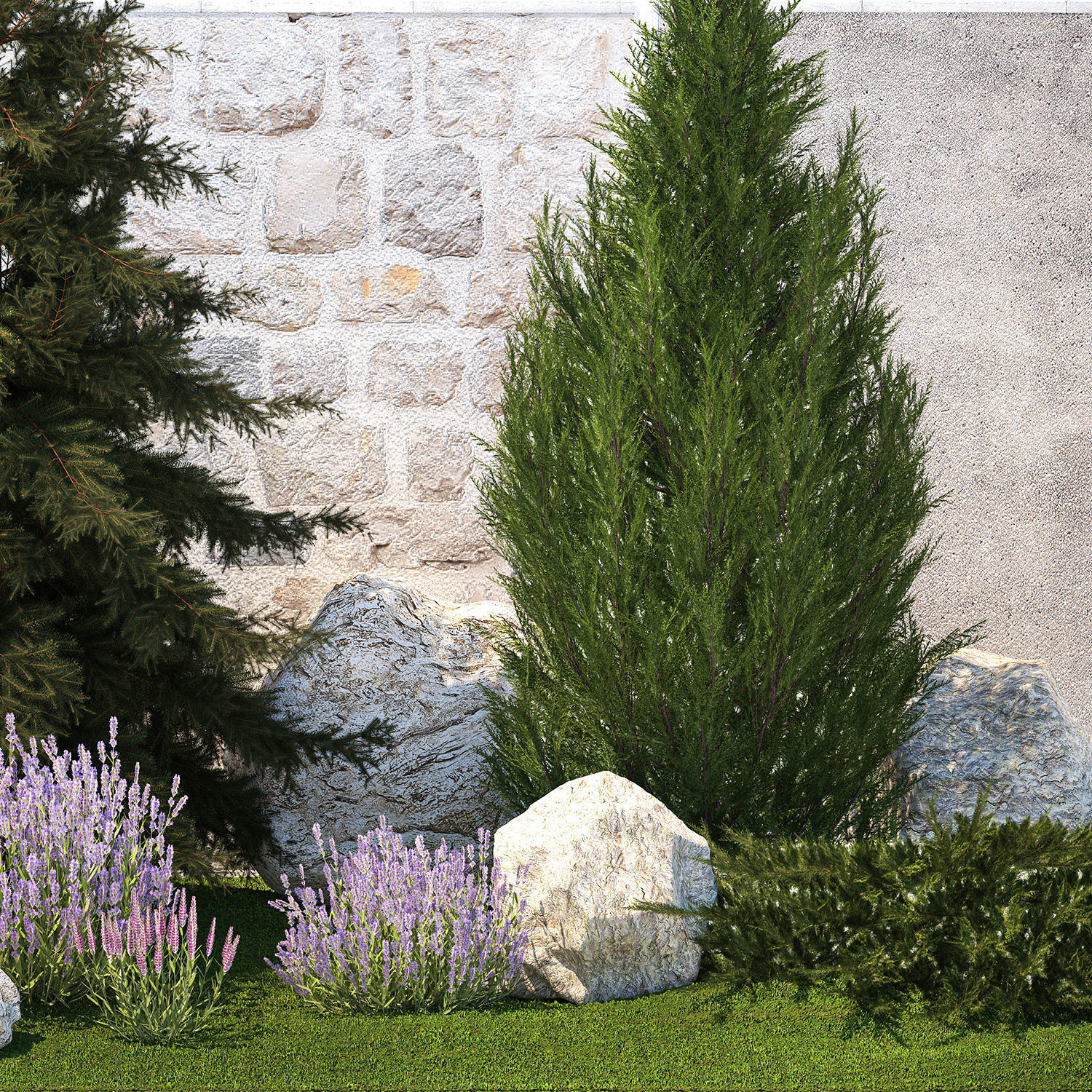 Beautiful garden lavender cypress spruce juniper 1376 3D model_12