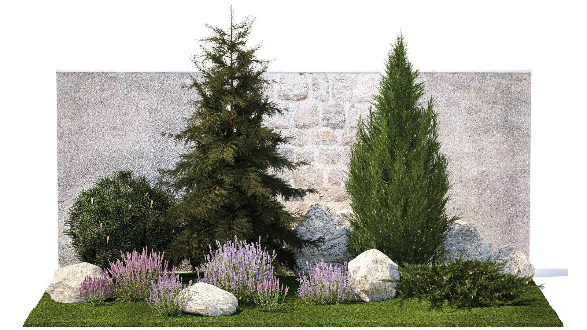 Beautiful garden lavender cypress spruce juniper 1376 3D model_0
