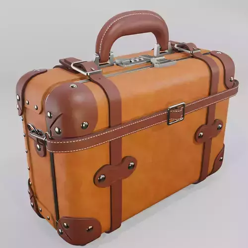 Steamline Anthropologist Navy Vanity Orang