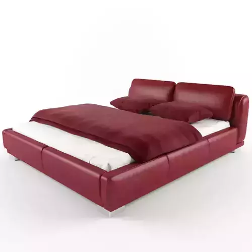 Red Leather bed