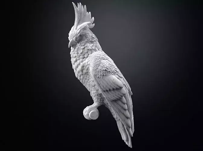 parrot
